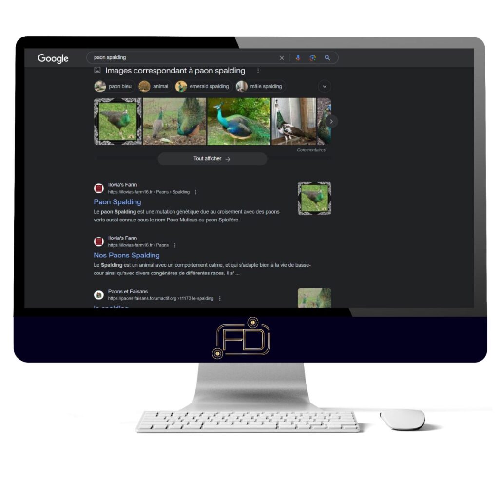 1ère place des moteurs de recherche pour notre client