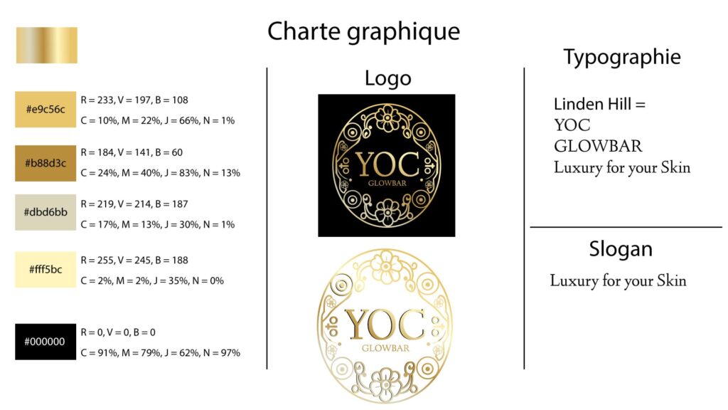 Réalisation pour un client d'une charte graphique