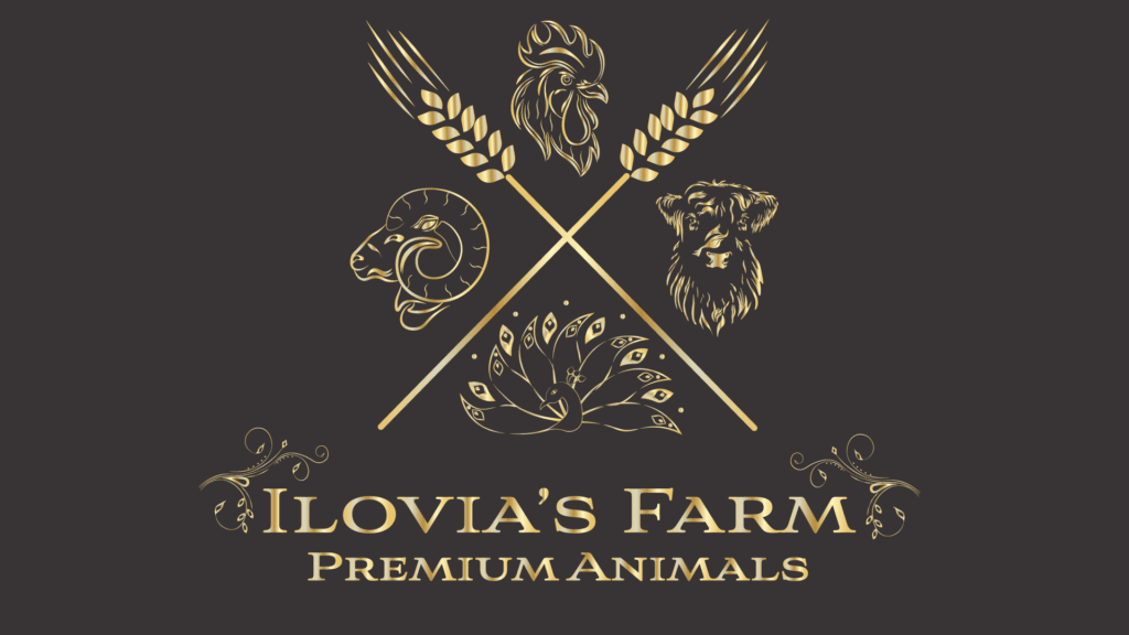 Réalisation client d'un logo d'animaux en Charente