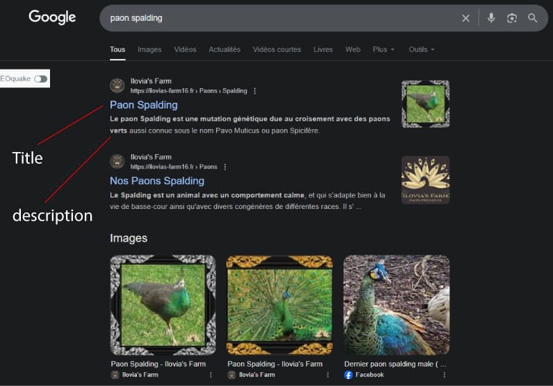Balise Meta title et description, explicatif